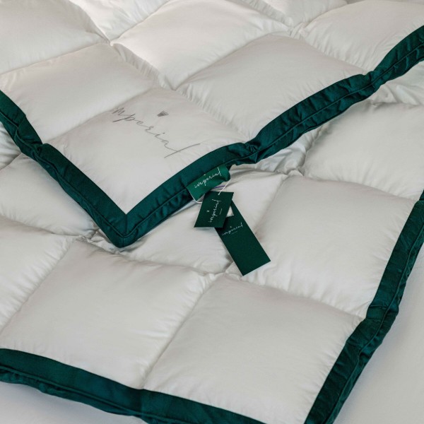 Фото - Набір ковдра полуторна + подушка MirSon № 10008 Imperial Satin Luxe всесезонна 140x205 Гусячий пух + 50x70 (2200010810486)